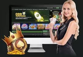 144bet2